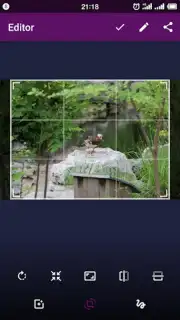 Smart Gallery - Photo Manager скриншот 4