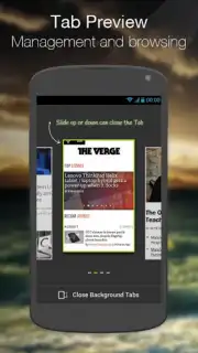 Next Browser скриншот 4