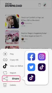 Downloader for TikTok скриншот 3