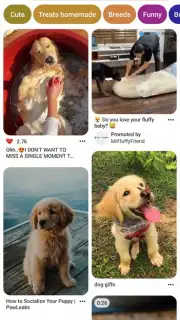 Pinterest скриншот 3