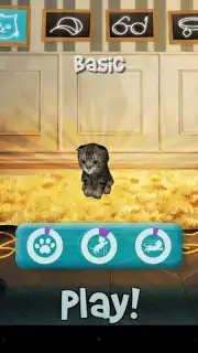 Cat Simulator скриншот 2
