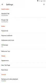 Brave Nightly (devs & testers) скриншот 6