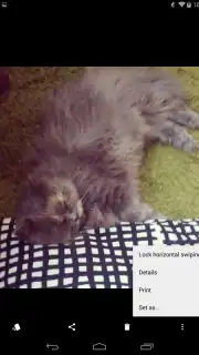 Focus скриншот 3