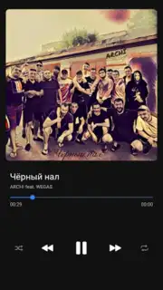 BiRD - Музыка из ВК скриншот 5