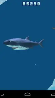 Hungry Shark Free! скриншот 4