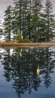 My Fishing World скриншот 4