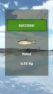Fishing 3D Simulator. The Lakes скриншот 1