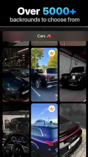 Wallpics скриншот 1