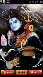 Virtual Shiva Worship скриншот 2