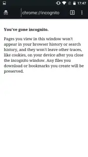 Pyrope Browser скриншот 5