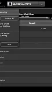 Network Audio Remote скриншот 5