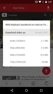 AyaTube Video Downloader скриншот 4
