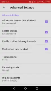 Light Browser скриншот 3