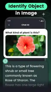 AI Chat скриншот 5
