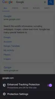 Iceraven Browser скриншот 8