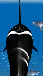 Orca Simulator скриншот 4