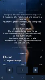 RiMusic скриншот 4