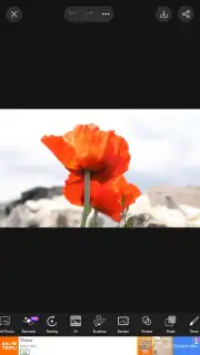 PicsArt скриншот 29