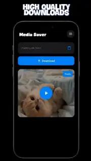 Media Saver скриншот 3