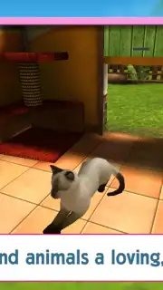 PetWorld: Animal Shelter скриншот 4