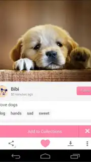 We Heart It скриншот 3