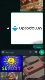 WhatsApp Messenger скриншот 8
