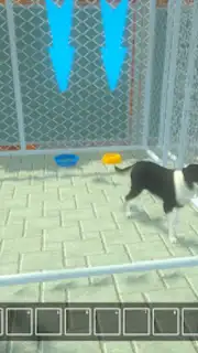 Animal Shelter Pet World Life скриншот 3