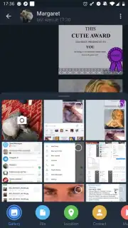 ForkGram скриншот 2