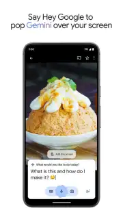 Google Gemini скриншот 11