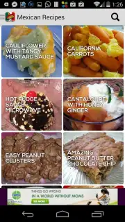 Mexican Recipes скриншот 3