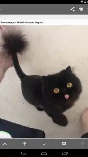 Open Imgur скриншот 1