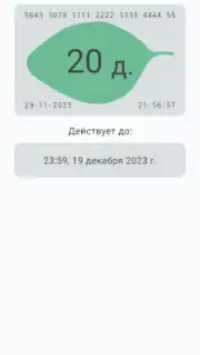 Баланс проездного скриншот 3