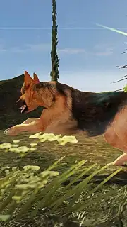 German Shepherd Simulator скриншот 2