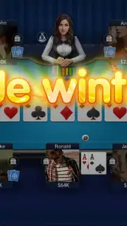 Holland Poker HD скриншот 1