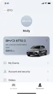 BYD скриншот 1