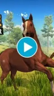Wild Horse Family Simulator скриншот 1