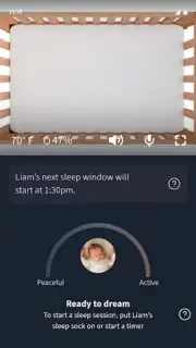 Owlet Dream скриншот 6