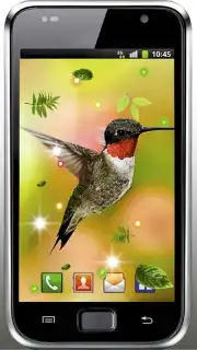 Colibri Spring 3D LWP скриншот 2