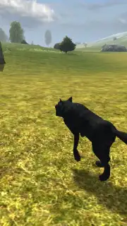 Wild Life: Wolf Clan скриншот 2