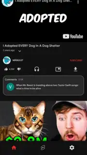 Lite You Vanced - Block Video Ads скриншот 2