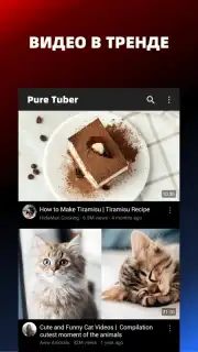 Pure Tuber скриншот 2