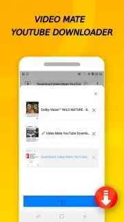 Vidora YouTube Downloader | free & fast скриншот 11
