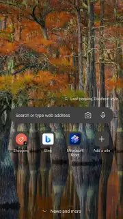 Microsoft Edge Dev скриншот 1