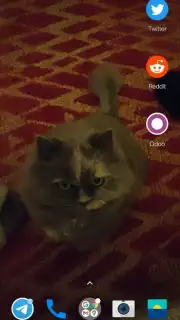 Transparent Screen & Live Wallpaper скриншот 4