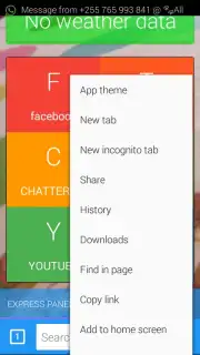 cheetah browser скриншот 2