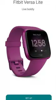 Fitbit скриншот 3