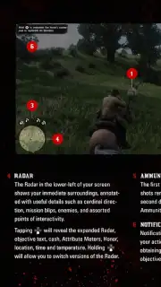 RDR2: Companion скриншот 5