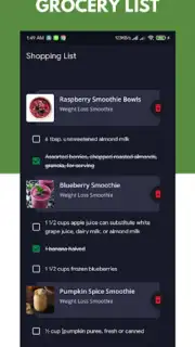 Diet Smoothie Recipes скриншот 2