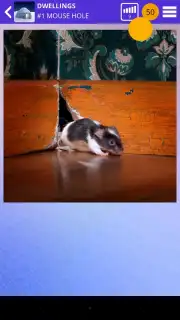 100 PICS Puzzles скриншот 3