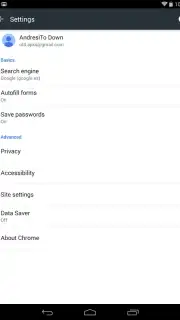 Chrome Dev скриншот 1